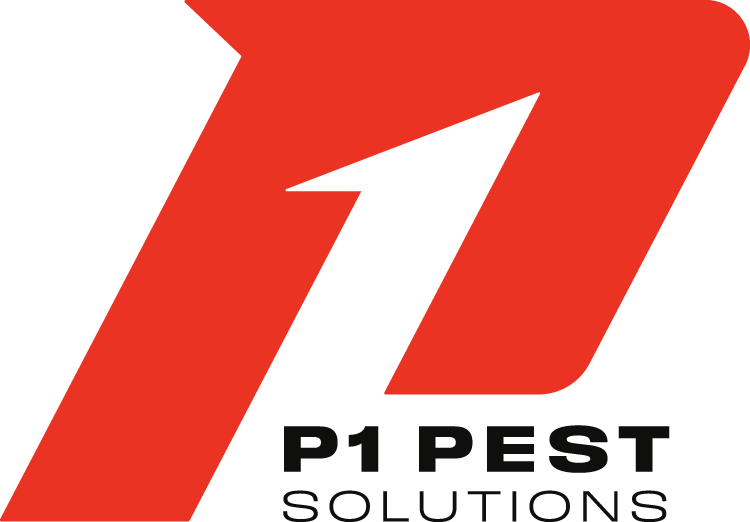 P1